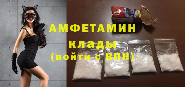 прущие грибы Балабаново
