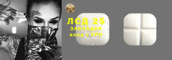 прущие грибы Балабаново