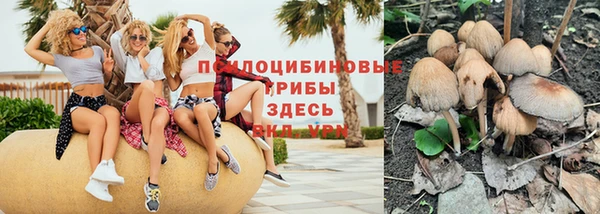прущие грибы Балабаново