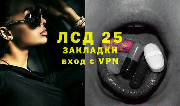 прущие грибы Балабаново
