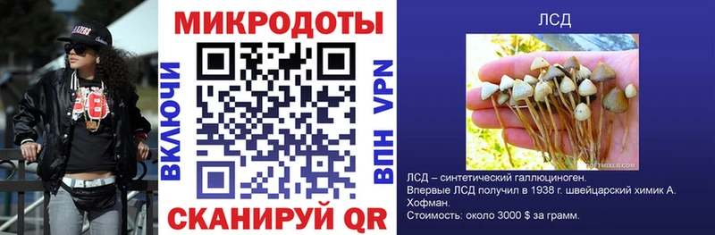 Галлюциногенные грибы прущие грибы  Курчалой 